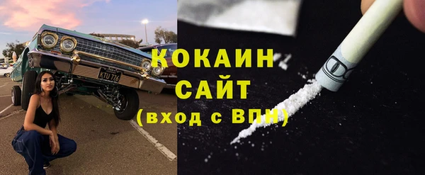 ГАЛЛЮЦИНОГЕННЫЕ ГРИБЫ Арсеньев
