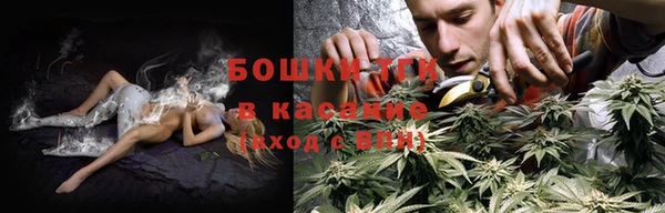 ГАЛЛЮЦИНОГЕННЫЕ ГРИБЫ Арсеньев