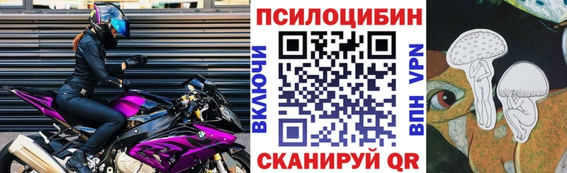 площадка телеграм  Пугачёв  Галлюциногенные грибы Psilocybine cubensis 